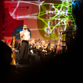 Conchita auf der Bühne beim Fest der Freude 2019 © MKÖ/Alissar Najjar