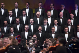 Wiener Symphoniker beim Fest der Freude 2015 © MKÖ/Sebastian Philipp