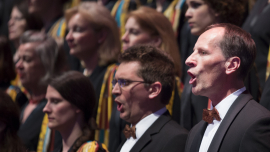 Wiener Symphoniker beim Fest der Freude 2015 © MKÖ/Sebastian Philipp