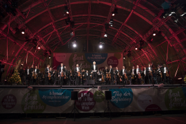 Die Wiener Symphoniker verbeugen sich auf der Bühne, Fest der Freude 2017 © MKÖ/Sebastian Philipp
