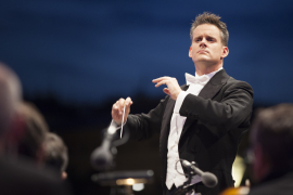 Konzert der Wiener Symphoniker beim Fest der Freude 2015 © MKÖ/Sebastian Philipp